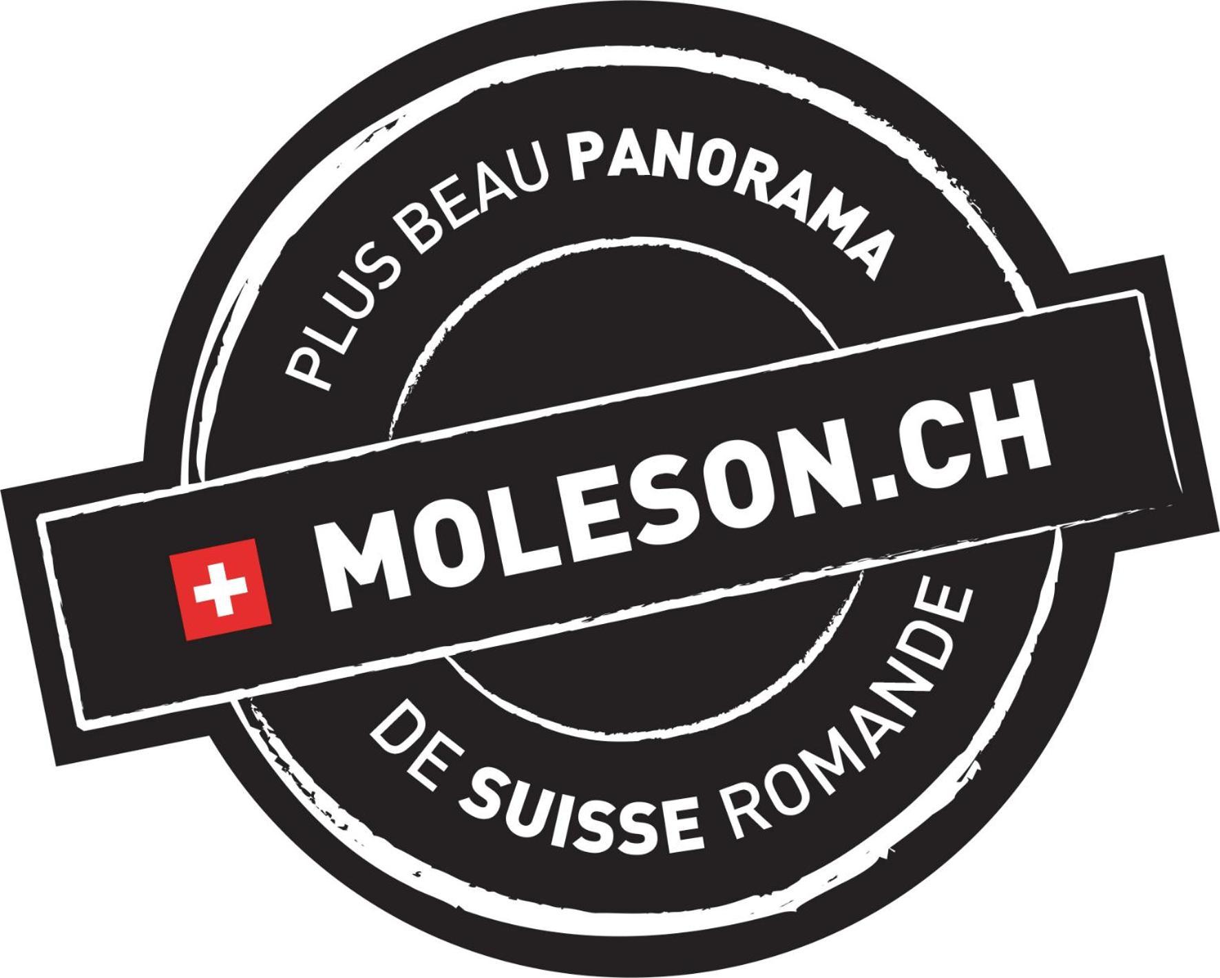 Moleson La Pierre A Catillon מראה חיצוני תמונה